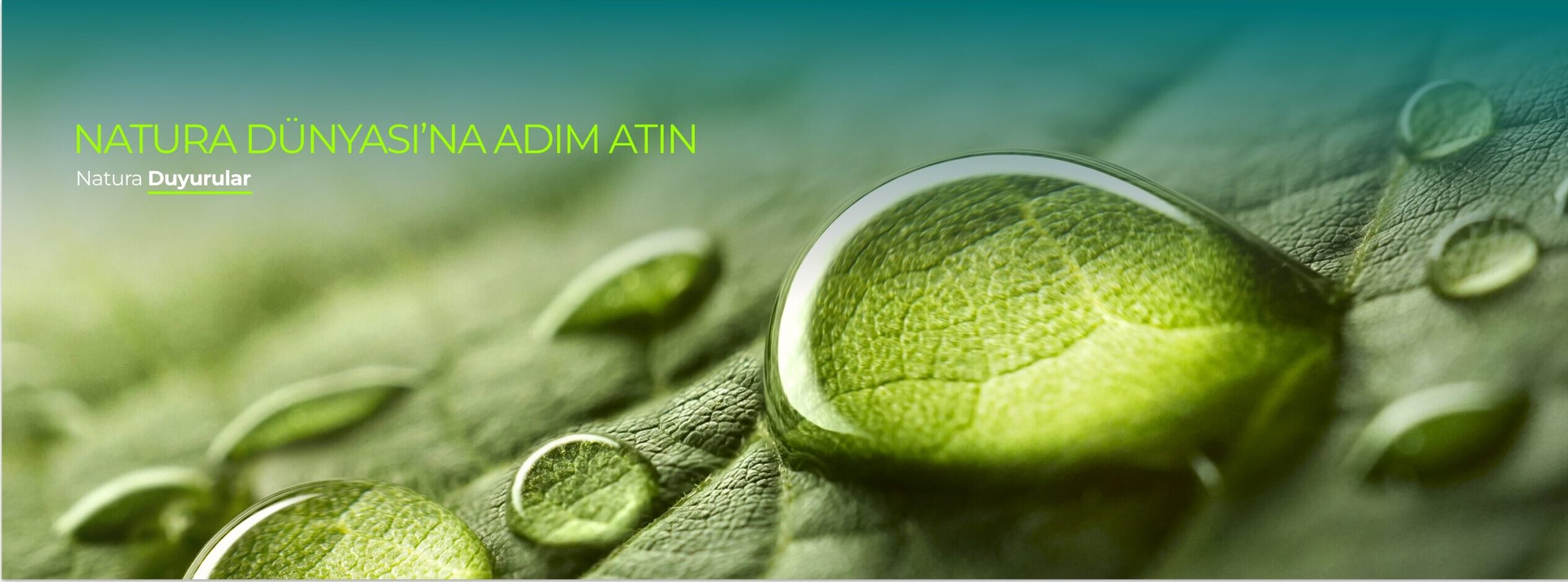 Group 278 e1771937043326